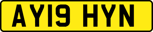AY19HYN