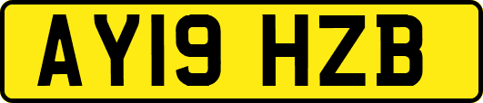 AY19HZB