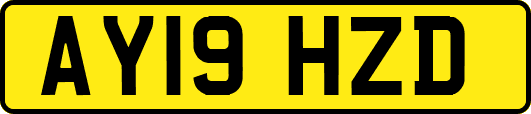 AY19HZD
