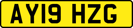 AY19HZG