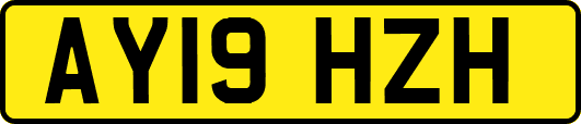 AY19HZH