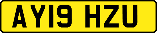 AY19HZU