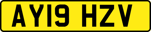 AY19HZV