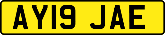 AY19JAE
