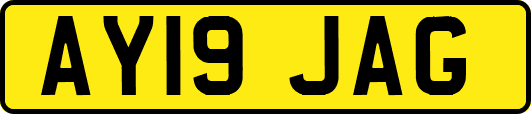 AY19JAG