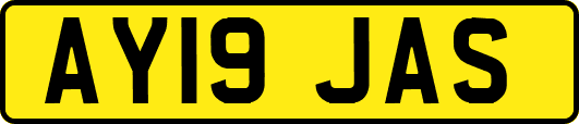 AY19JAS