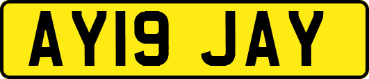 AY19JAY
