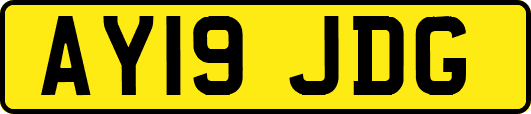 AY19JDG