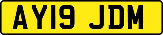 AY19JDM