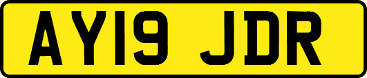 AY19JDR