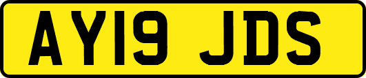 AY19JDS