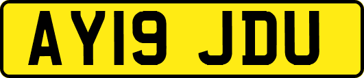 AY19JDU