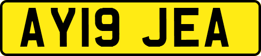 AY19JEA