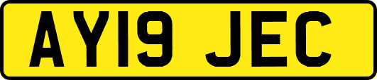 AY19JEC