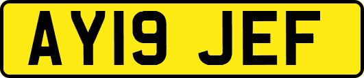 AY19JEF