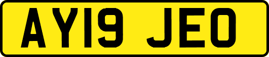 AY19JEO
