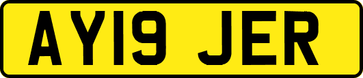 AY19JER
