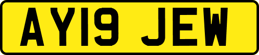 AY19JEW