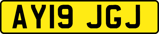 AY19JGJ