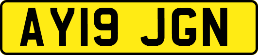 AY19JGN