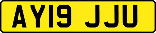 AY19JJU