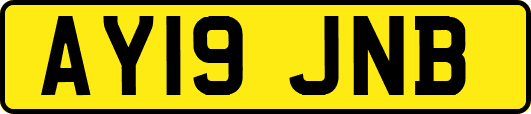 AY19JNB