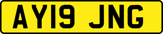 AY19JNG