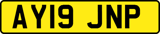AY19JNP