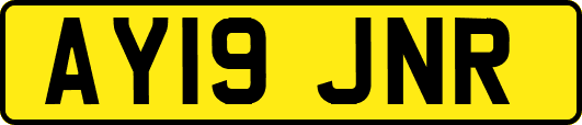 AY19JNR