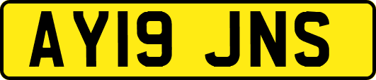 AY19JNS