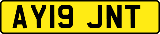 AY19JNT