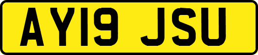 AY19JSU