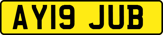 AY19JUB