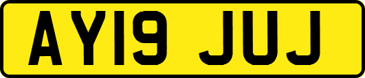 AY19JUJ