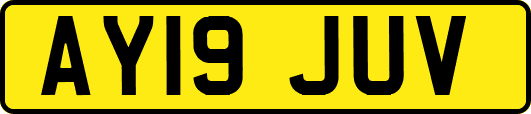 AY19JUV