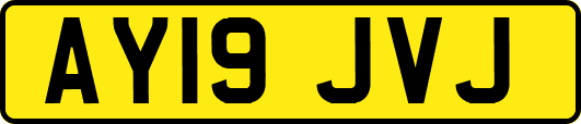 AY19JVJ
