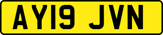 AY19JVN
