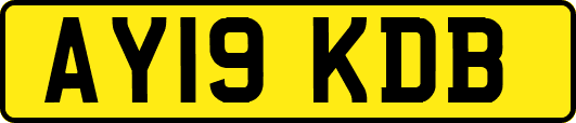 AY19KDB