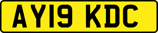AY19KDC