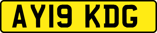 AY19KDG