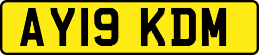 AY19KDM