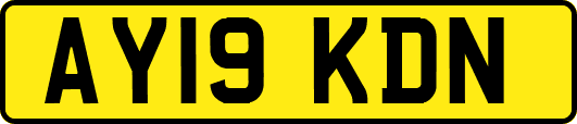 AY19KDN