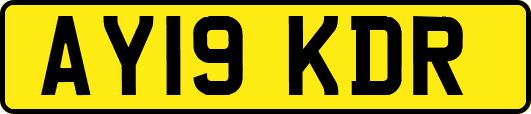 AY19KDR