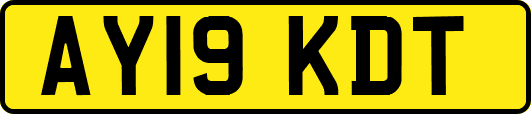AY19KDT