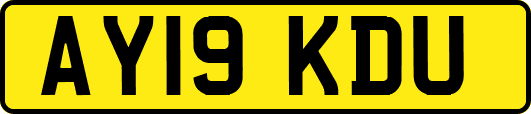 AY19KDU