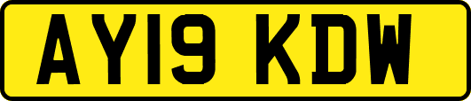 AY19KDW