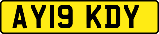 AY19KDY