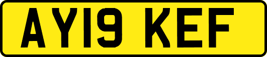 AY19KEF