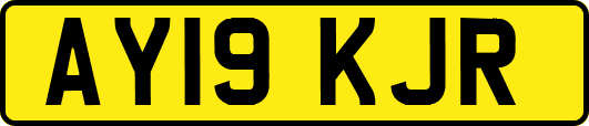 AY19KJR