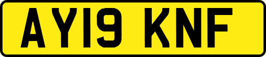 AY19KNF